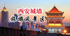 操视频穴骚肏穴中国陕西-西安城墙旅游风景区